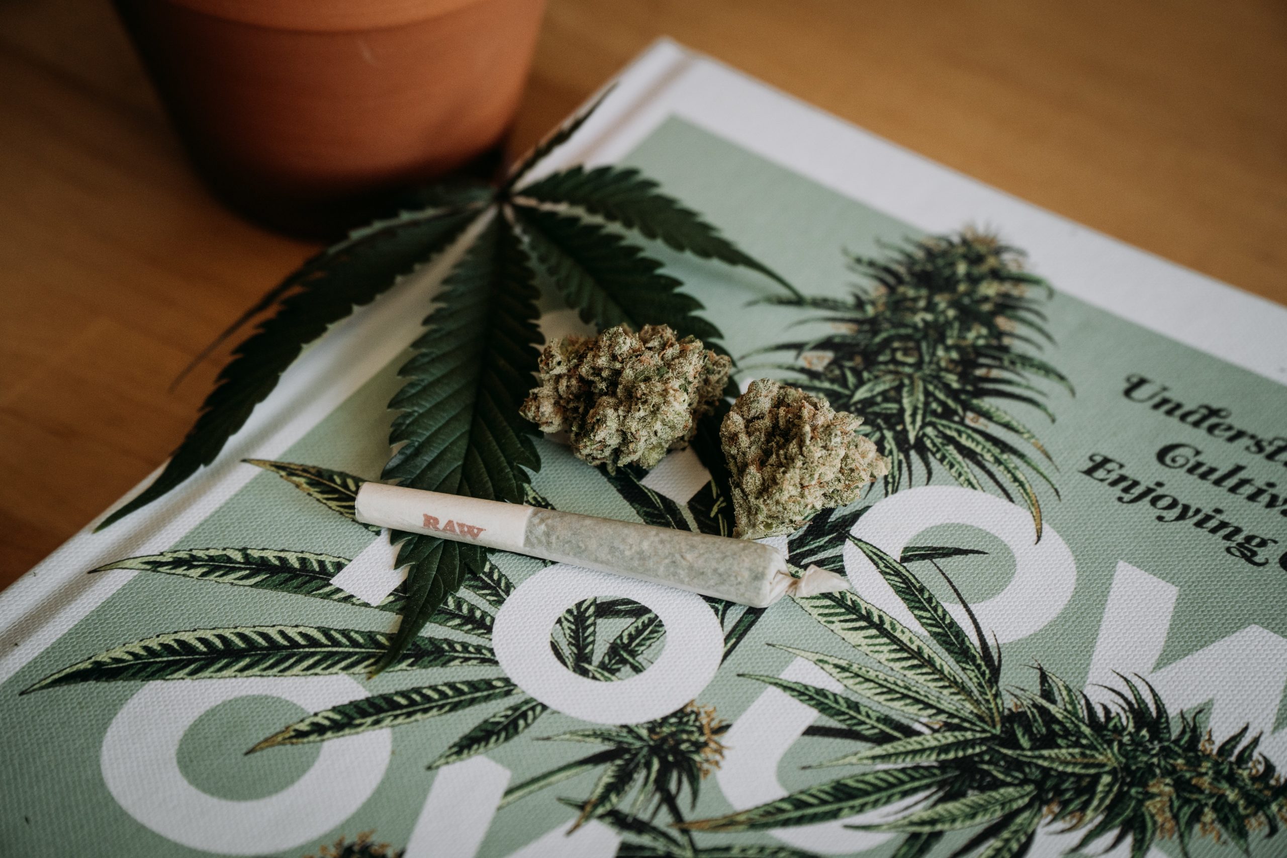 Cannabis basics • Sacramento News & Review