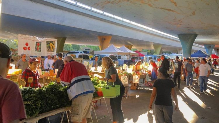 Sunday Farmers Market Near Me A Guide to Locally Grown Produce and Authentic Market Experience