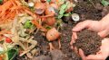 food waste being composted