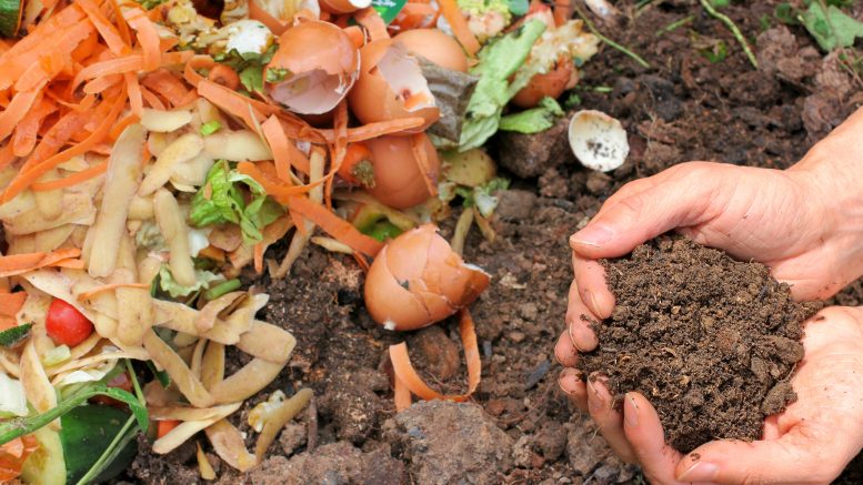 food waste being composted