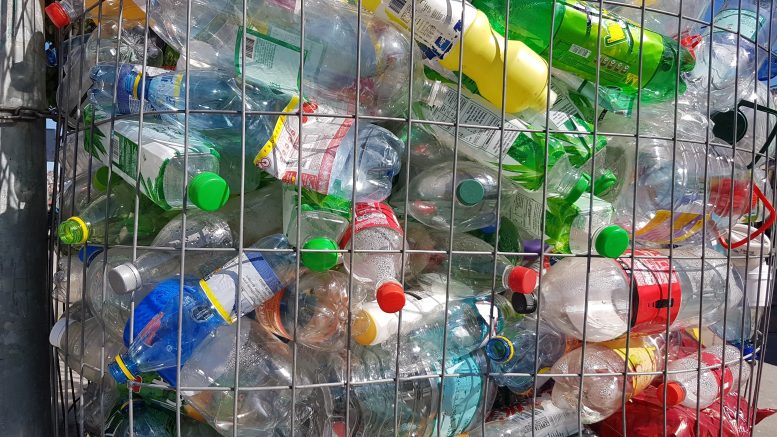empty plastic bottles in a bin
