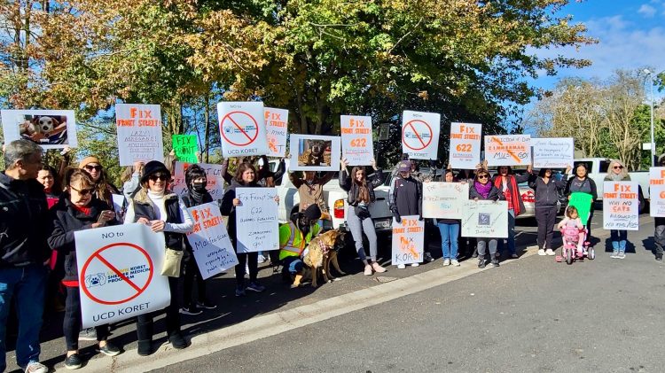 Image for display with article titled Building for 32 months: Exasperated animal advocates hold protest at Sacramento’s Front Street Shelter