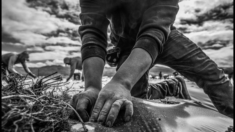 Image for display with article titled Farmworkers’ working and living conditions take a mental health toll