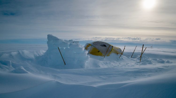 Image for display with article titled Sac State film professor debuts documentary on exploring environmental mysteries below Antarctica