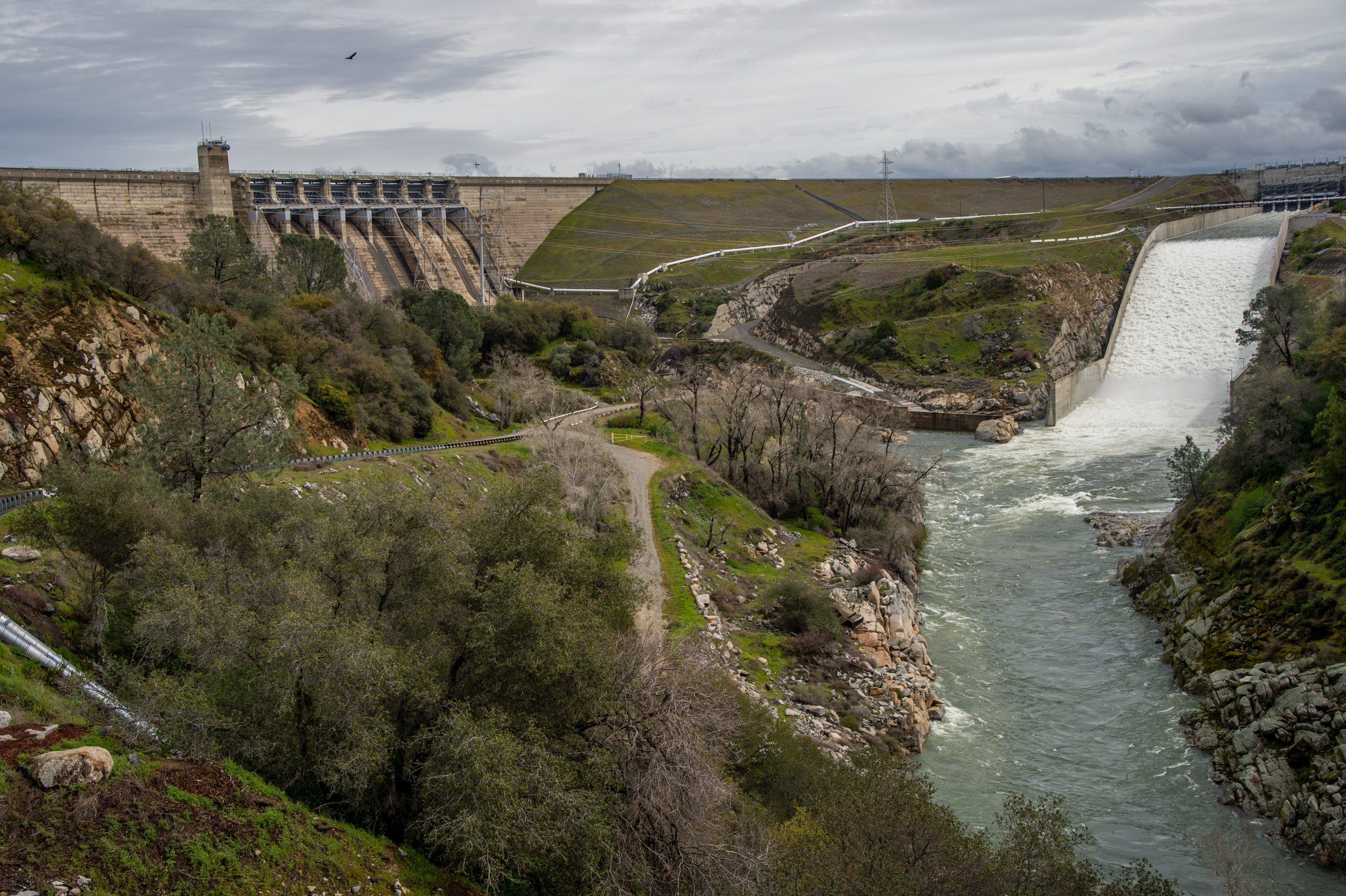 Water efficiency: The City of Roseville pools resources with a variety of  key players • Sacramento News & Review