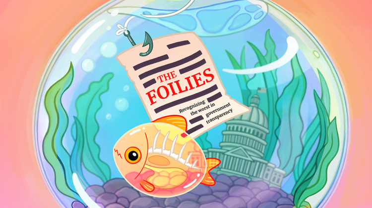 Image for display with article titled The Foilies 2024: Recognizing the Worst in Government Transparency