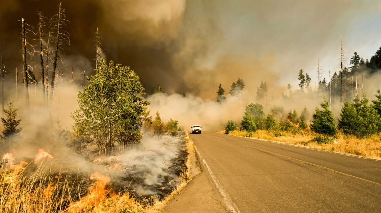 Image for display with article titled California Insurance Market ‘In Chaos,’ Says Former Insurance Chief. Can This Chief Fix It?