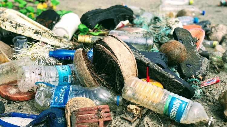 Image for display with article titled State Senator Ben Allen Discusses New Efforts to Fight Plastic Pollution, Other Eco-Threats in California