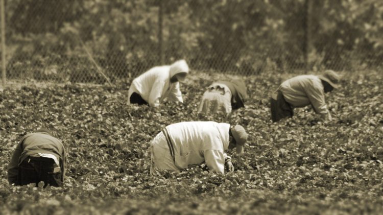 Image for display with article titled A Safety Net Will Not Close California’s Income Gap