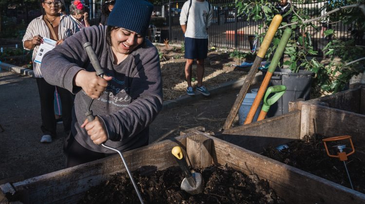 Image for display with article titled Farm to Fork to Compost in Sacramento