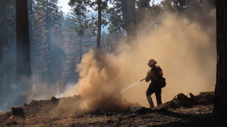 Image for display with article titled Battle Against the Park Fire Continues