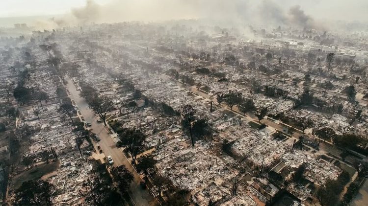 Image for display with article titled Falsely Blaming the LA Wildfires on Delta Protection and the Imperiled Smelt Is Distorting the Picture of Water in California